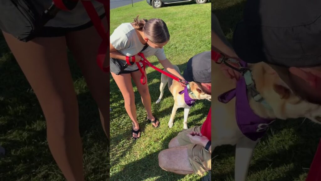 Short-form vertical recap of a shelter adoption event hosted at Galt Airport by JB Aviation.
