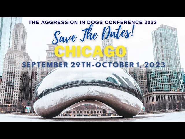 Motion graphics and video editing for the Dog Aggression Conference, produced during the ReelPaws internship.