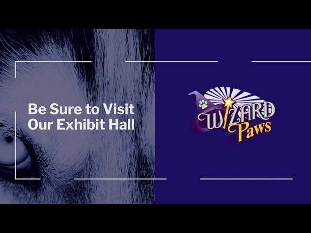 Second piece in the Dog Aggression Conference series — additional motion graphics and video edit produced during the ReelPaws internship.